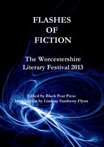 Flashes of Fiction Front Cover 2013