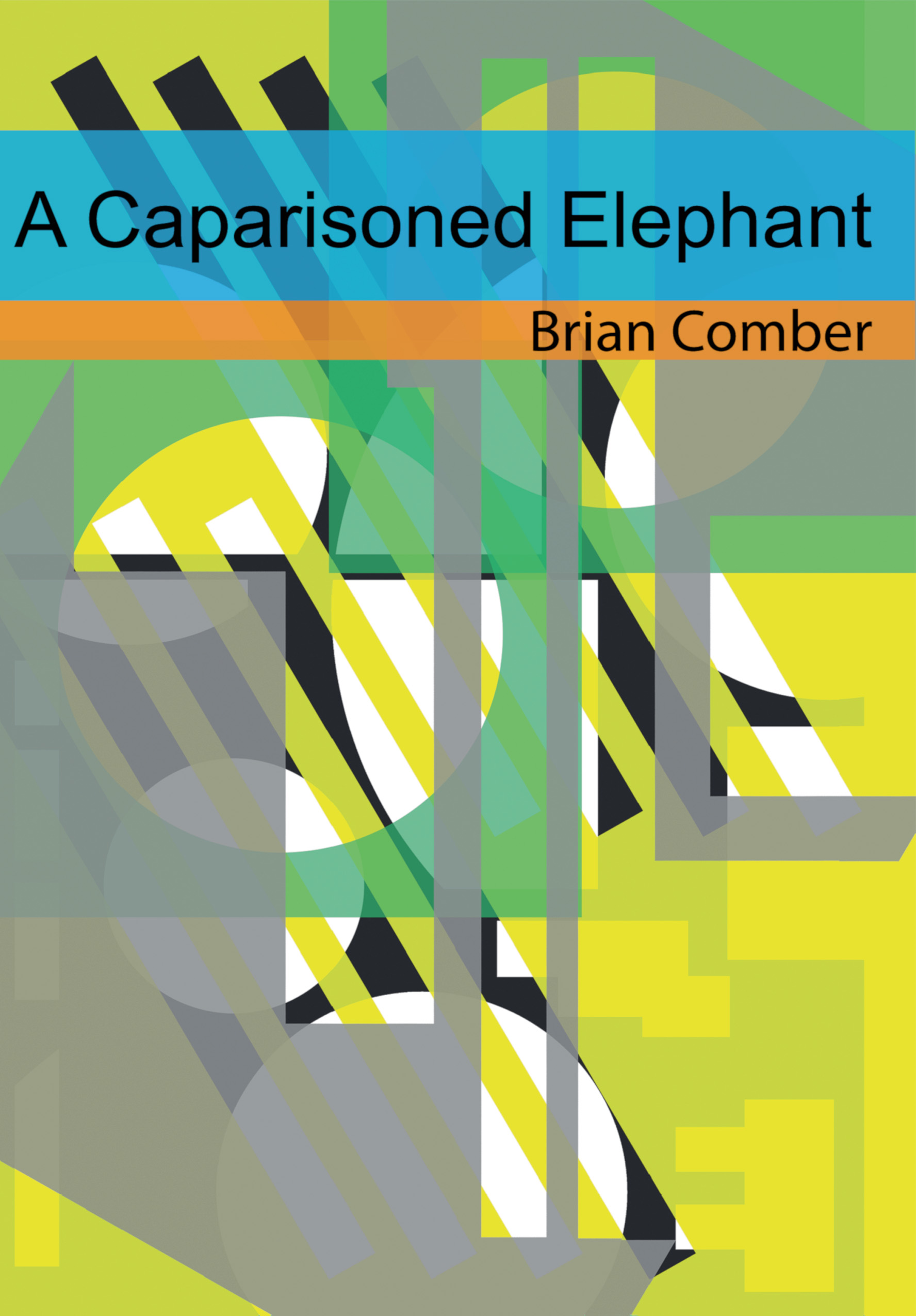 A Caparisoned Elephant front cover